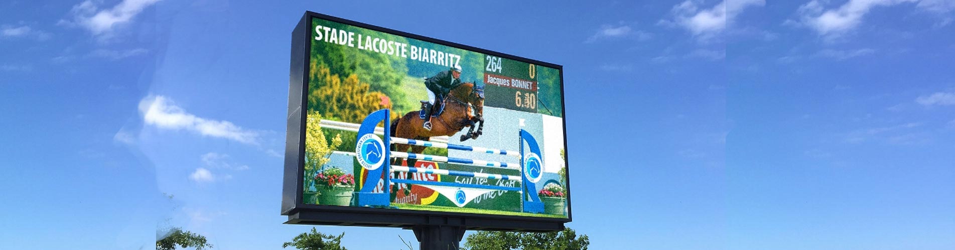 category transparent led display